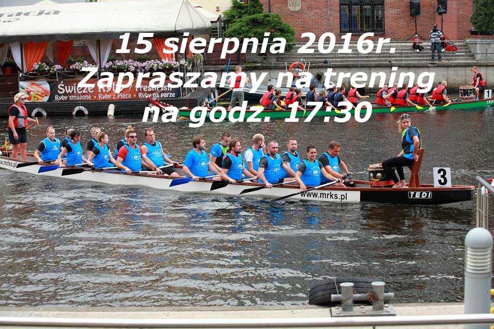 dominik 2016