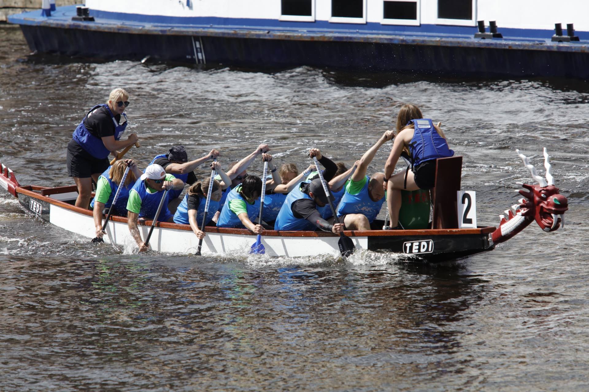 wiking domink2017