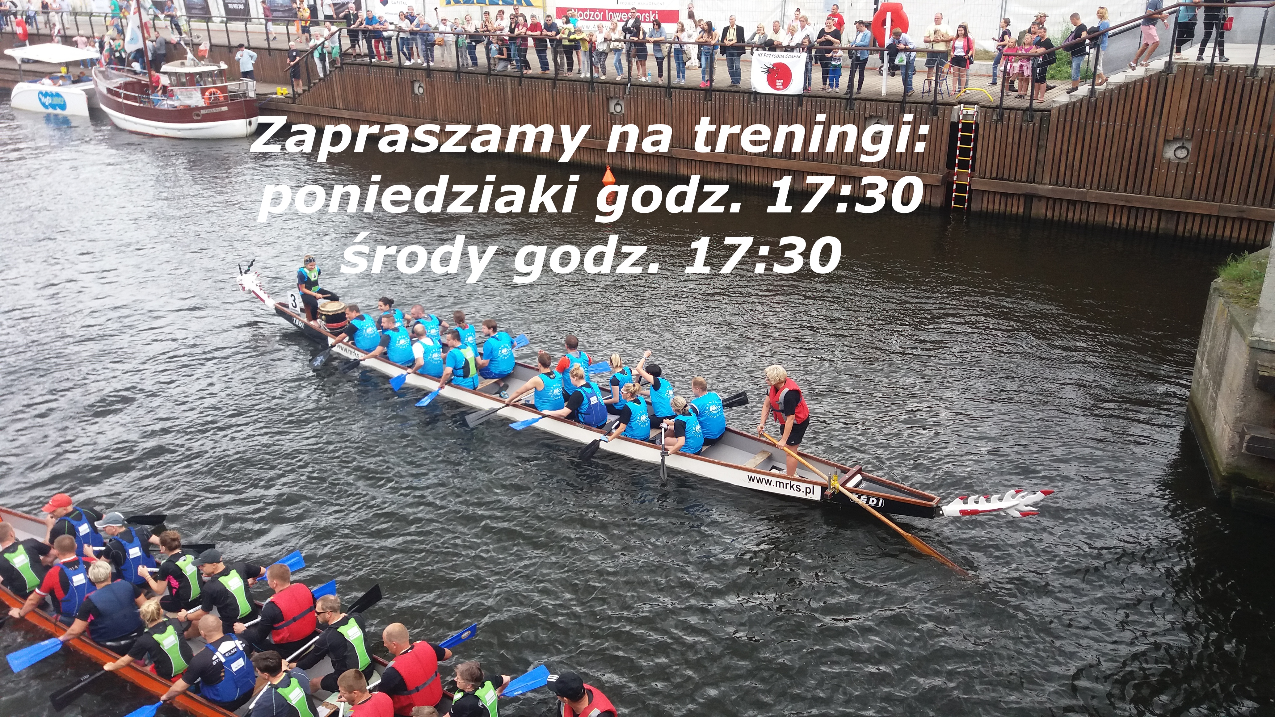 wiking treningi od 08082016